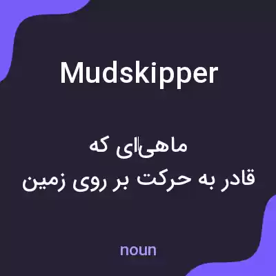 معنی mudskipper به فارسی معنی mudskipper به فارسی