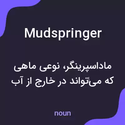 معنی mudspringer به فارسی معنی mudspringer به فارسی