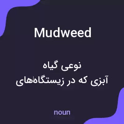معنی mudweed به فارسی معنی mudweed به فارسی