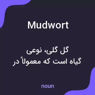 معنی mudwort به فارسی معنی mudwort به فارسی