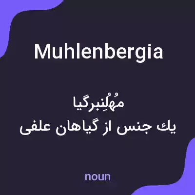 معنی muhlenbergia به فارسی معنی muhlenbergia به فارسی