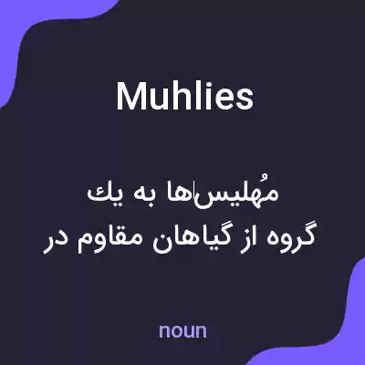 معنی muhlies به فارسی معنی muhlies به فارسی
