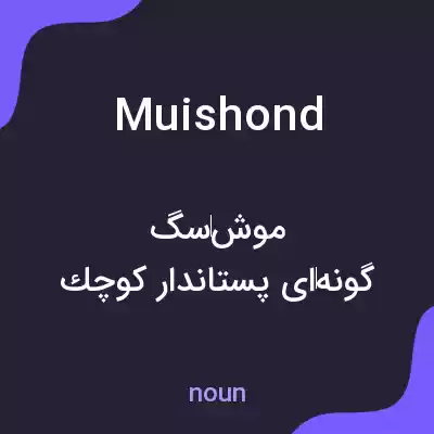 معنی muishond به فارسی معنی muishond به فارسی