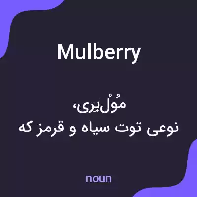 معنی mulberry به فارسی معنی mulberry به فارسی