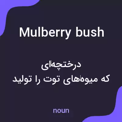 معنی mulberry bush به فارسی معنی mulberry bush به فارسی