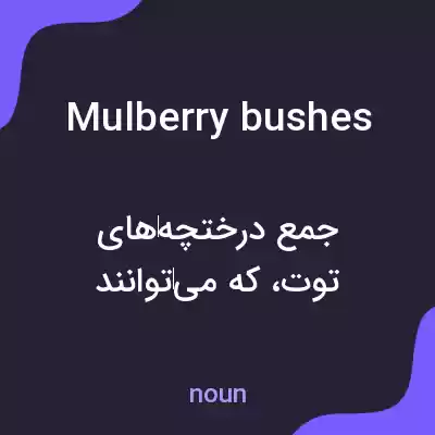 معنی mulberry bushes به فارسی معنی mulberry bushes به فارسی
