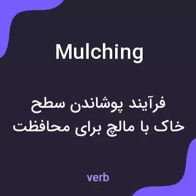 معنی mulching به فارسی معنی mulching به فارسی