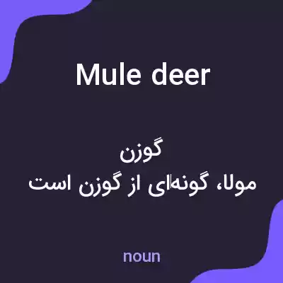 معنی mule deer به فارسی