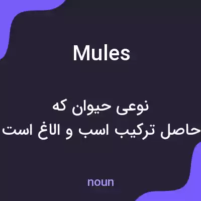 معنی mules به فارسی معنی mules به فارسی