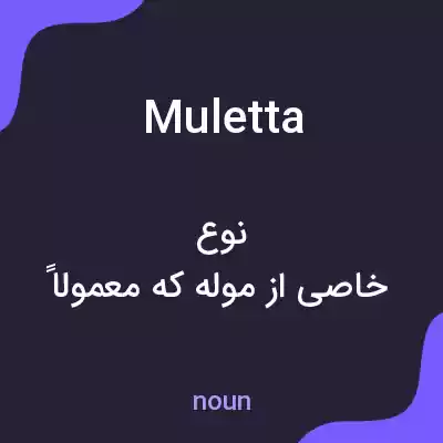 معنی muletta به فارسی معنی muletta به فارسی