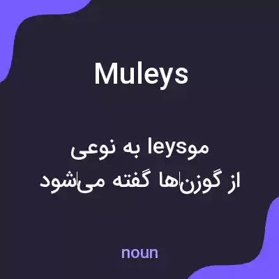 معنی muleys به فارسی معنی muleys به فارسی
