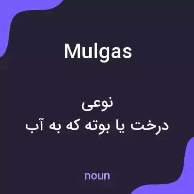 معنی mulgas به فارسی معنی mulgas به فارسی
