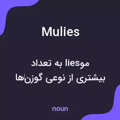 معنی mulies به فارسی معنی mulies به فارسی