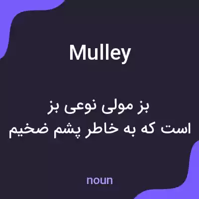 معنی mulley به فارسی معنی mulley به فارسی