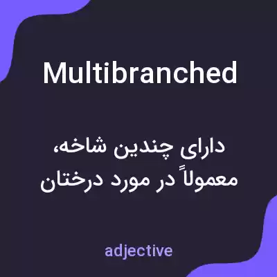 معنی multibranched به فارسی معنی multibranched به فارسی