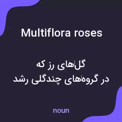 معنی multiflora roses به فارسی معنی multiflora roses به فارسی