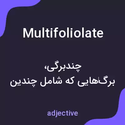معنی multifoliolate به فارسی معنی multifoliolate به فارسی