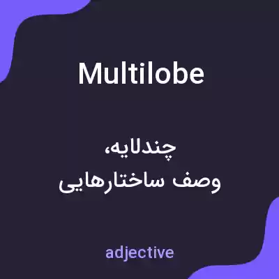 معنی multilobe به فارسی معنی multilobe به فارسی