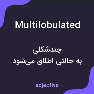 معنی multilobulated به فارسی معنی multilobulated به فارسی