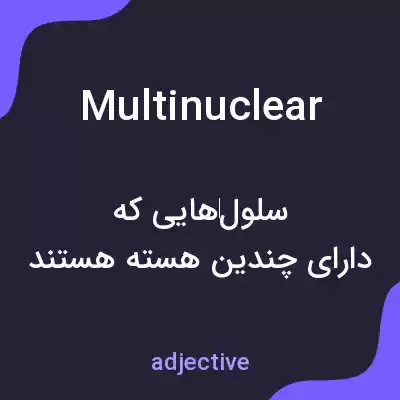 معنی multinuclear به فارسی معنی multinuclear به فارسی