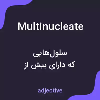 معنی multinucleate به فارسی معنی multinucleate به فارسی