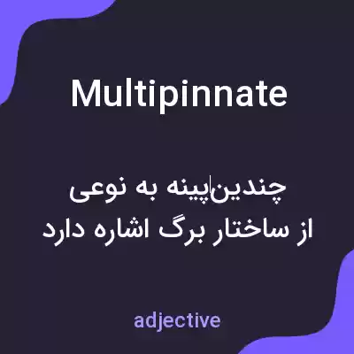 معنی multipinnate به فارسی معنی multipinnate به فارسی