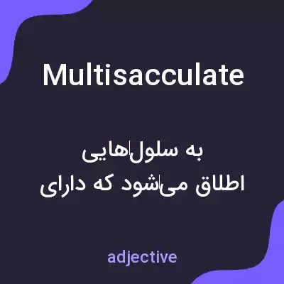 معنی multisacculate به فارسی معنی multisacculate به فارسی