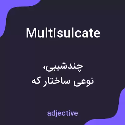 معنی multisulcate به فارسی معنی multisulcate به فارسی