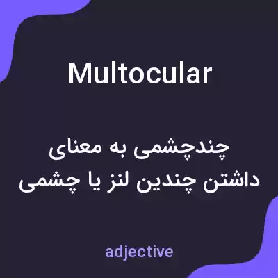 معنی multocular به فارسی معنی multocular به فارسی