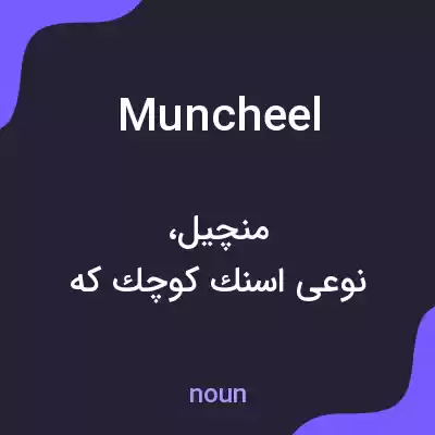معنی muncheel به فارسی معنی muncheel به فارسی