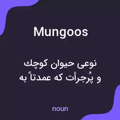 معنی mungoos به فارسی معنی mungoos به فارسی