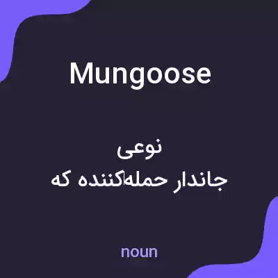 معنی mungoose به فارسی معنی mungoose به فارسی