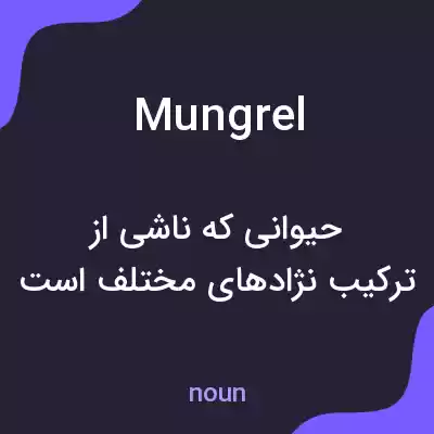 معنی mungrel به فارسی معنی mungrel به فارسی