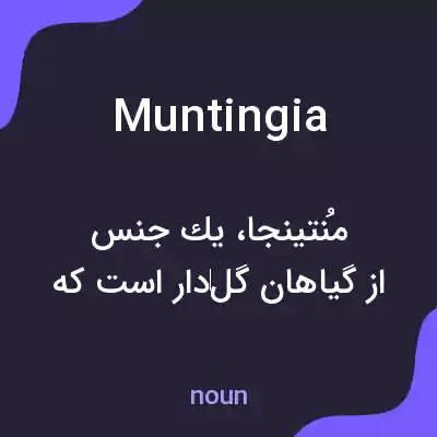 معنی muntingia به فارسی