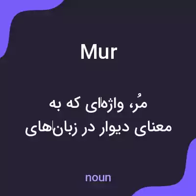 معنی mur به فارسی معنی mur به فارسی