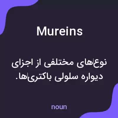 معنی mureins به فارسی معنی mureins به فارسی
