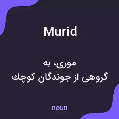 معنی murid به فارسی معنی murid به فارسی