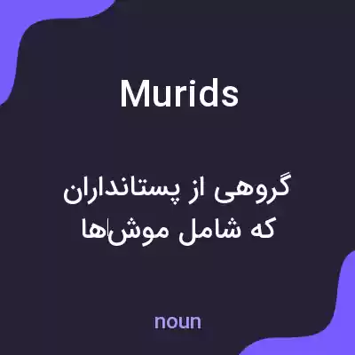 معنی murids به فارسی معنی murids به فارسی