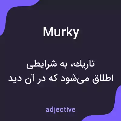 معنی murky به فارسی
