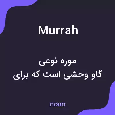 معنی murrah به فارسی معنی murrah به فارسی