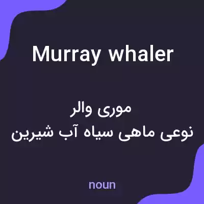 معنی murray whaler به فارسی