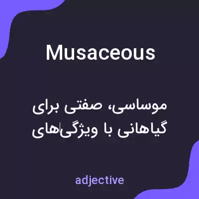 معنی musaceous به فارسی معنی musaceous به فارسی
