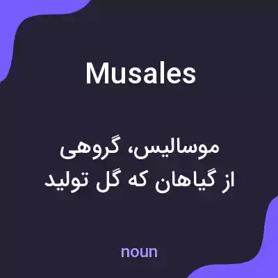 معنی musales به فارسی معنی musales به فارسی