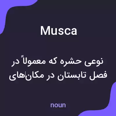 معنی musca به فارسی معنی musca به فارسی
