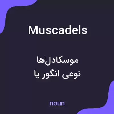 معنی muscadels به فارسی معنی muscadels به فارسی
