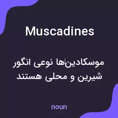 معنی muscadines به فارسی معنی muscadines به فارسی