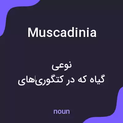 معنی muscadinia به فارسی معنی muscadinia به فارسی