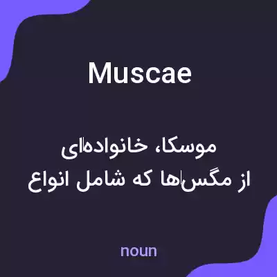 معنی muscae به فارسی معنی muscae به فارسی