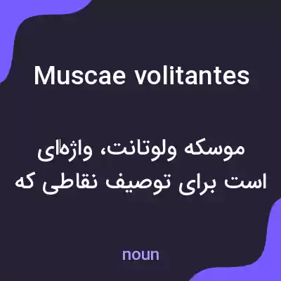 معنی muscae volitantes به فارسی