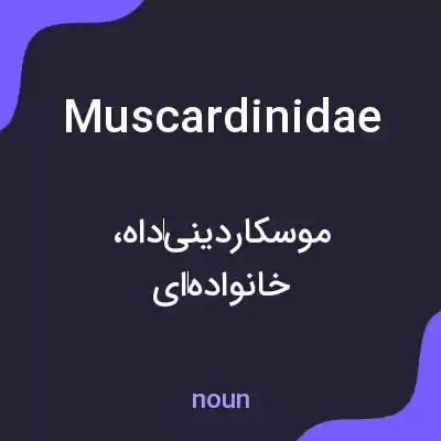 معنی muscardinidae به فارسی معنی muscardinidae به فارسی